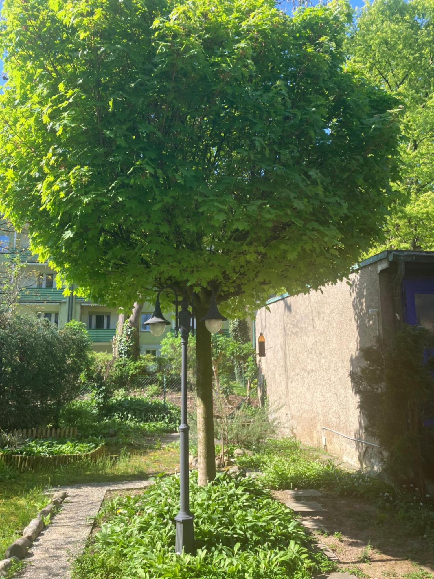 Appartement Wohnoase Mit Gratis Parkplatz Bazel